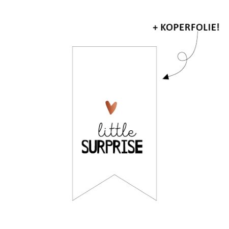 Sticker vaantje 30x55mm - Little surprise 250p/r