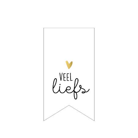 Sticker vaantje 30x55mm - Veel liefs 250p/r