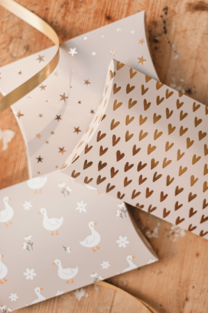 Beige gondeldoosje met babygans – ideaal voor kraamcadeaus