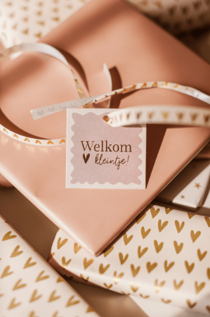 Cadeaulabel Welkom kleintje – 60x60mm – Kraam cadeaukaartje