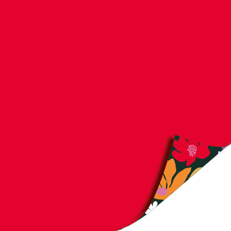 Afbeeldingen van KP® Cadeaupapier 30cm 100m - Colorful flowers