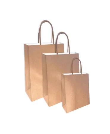 papieren draagtas, kraft tas, bedrukte tas, tassen, papieren tassen