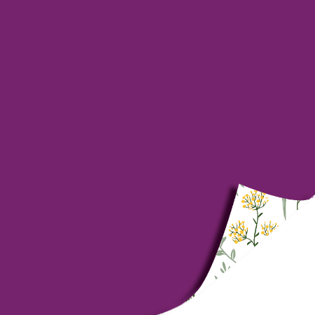 Afbeeldingen van KP® Cadeaupapier 50cm 100m - Wildflowers