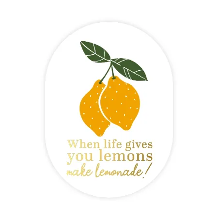 When life gives you lemons make lemonade sticker 