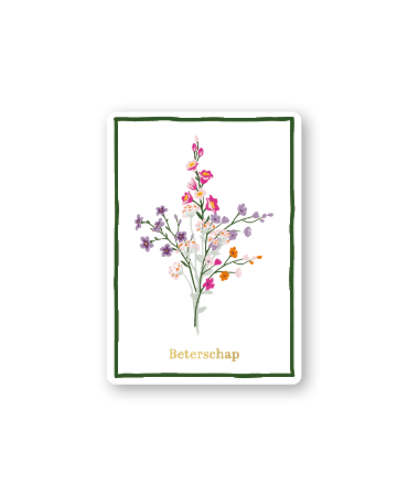 KP® Cadeaukaartjes A7 - Beterschap  (wildflowers), 25 stuks