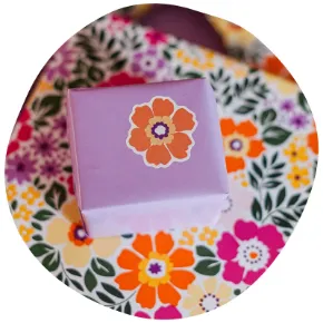 Afbeelding voor categorie Spring