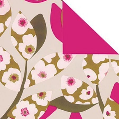 inpakpapier, cadeaupapier, geschenkpapier, kadopapier