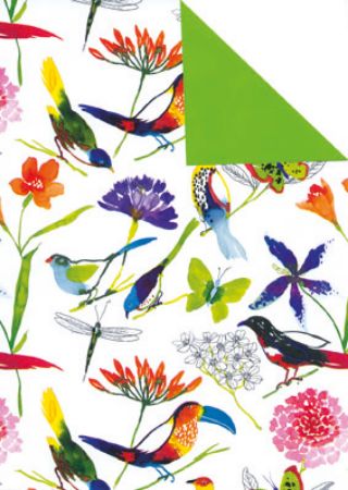 inpakpapier, cadeaupapier, geschenkpapier, kadopapier