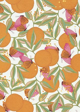 inpakpapier, cadeaupapier, geschenkpapier, kadopapier