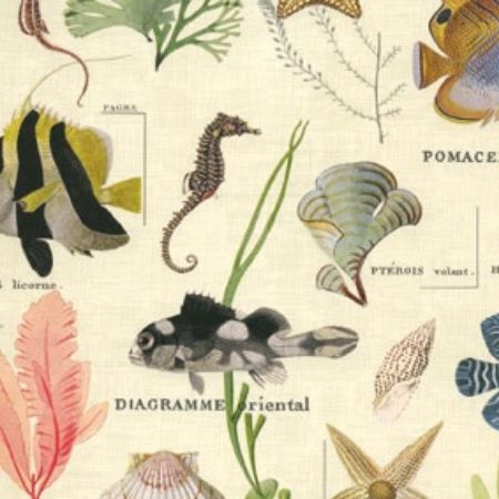 Afbeeldingen van Cadeaupapier Artline Mat 90gr Sansibar 30cm 200m