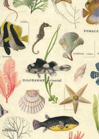 Afbeeldingen van Cadeaupapier Artline Mat 90gr Sansibar 30cm 200m