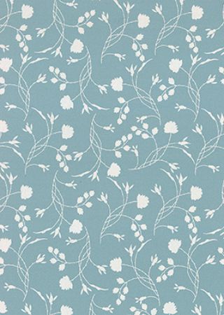 Afbeeldingen van Cadeaupapier Eco Nature wit 80gr Erba-wijze 30cm 200m