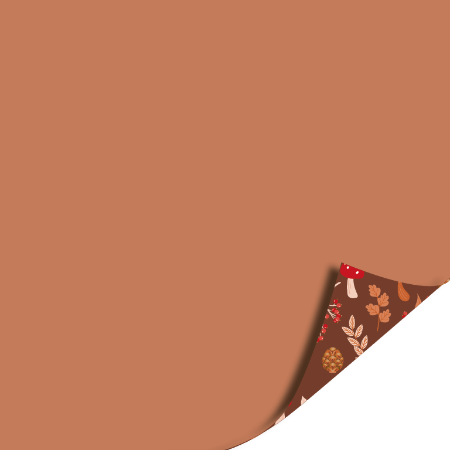 cadeaupapier, inpakpapier, geschenkpapier, toonbankrol