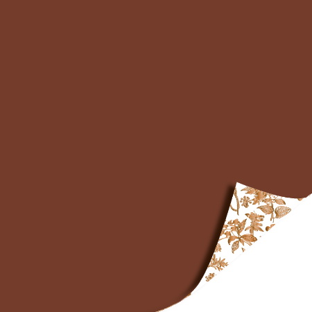 Afbeeldingen van KP® Cadeaupapier 50cm 100m - Autumn nature